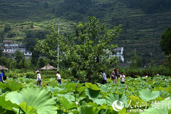 开阳县提档升级秋季休闲旅游实现淡季不淡发展目标